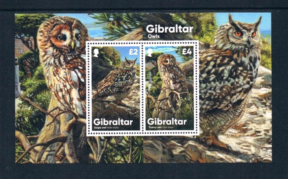 $18.00 Scott Value - 2020 GIBRALTAR Owls s/s European Birds CV MNH NH UMM - Image 3 of 4