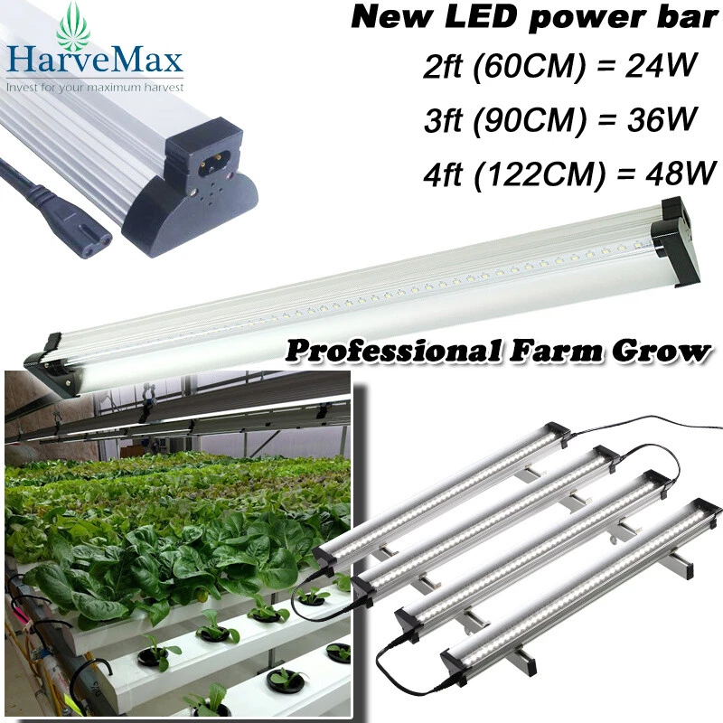 24 2024 grow light