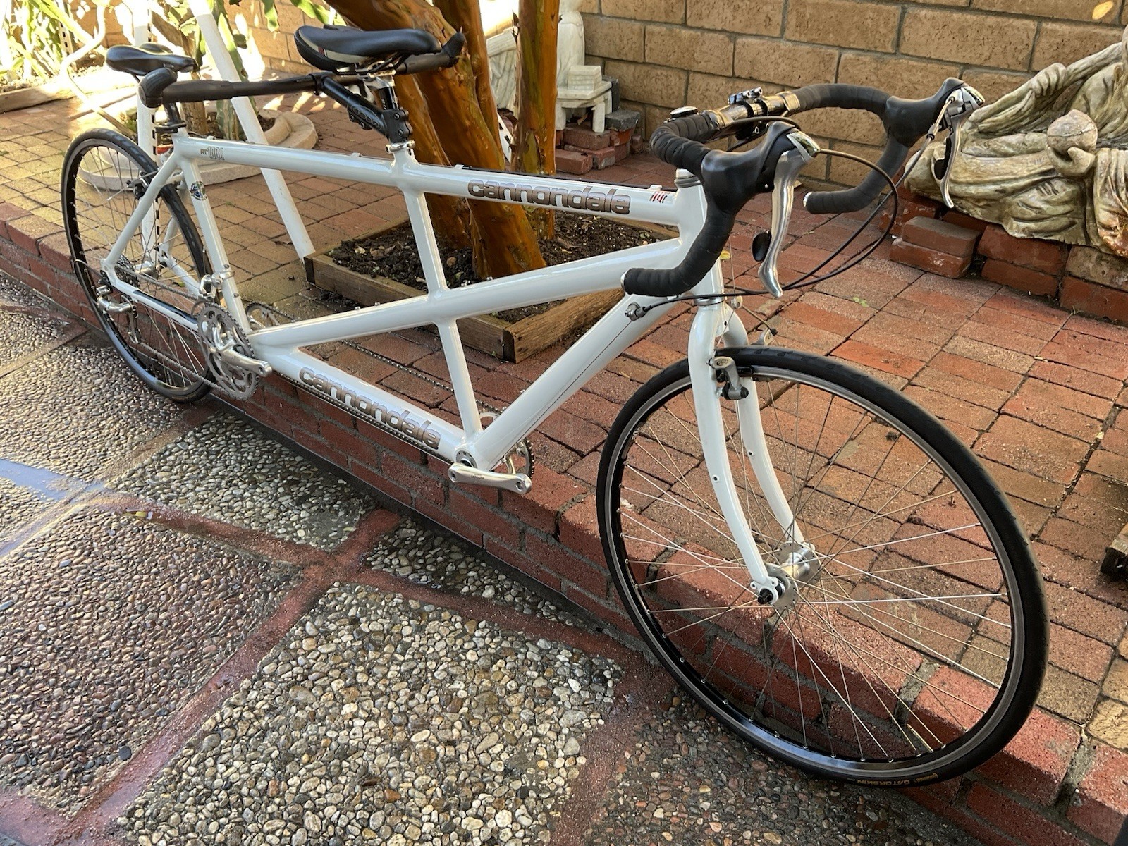 Cannondale RT1000 Road tandem Bike shimano Ultegra  Large / Small Avid Mint Cdn