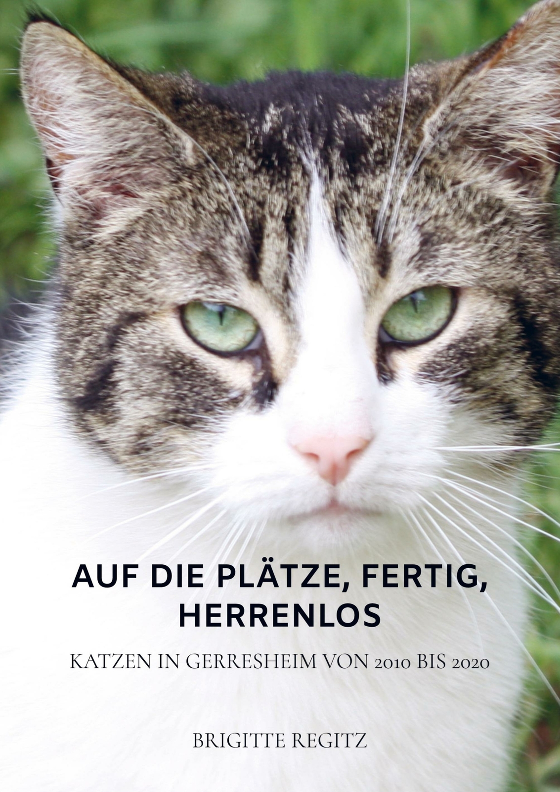 Thumbnail - Auf Die Plätze, Fertig, Herrenlos | Buch | 9789403604299