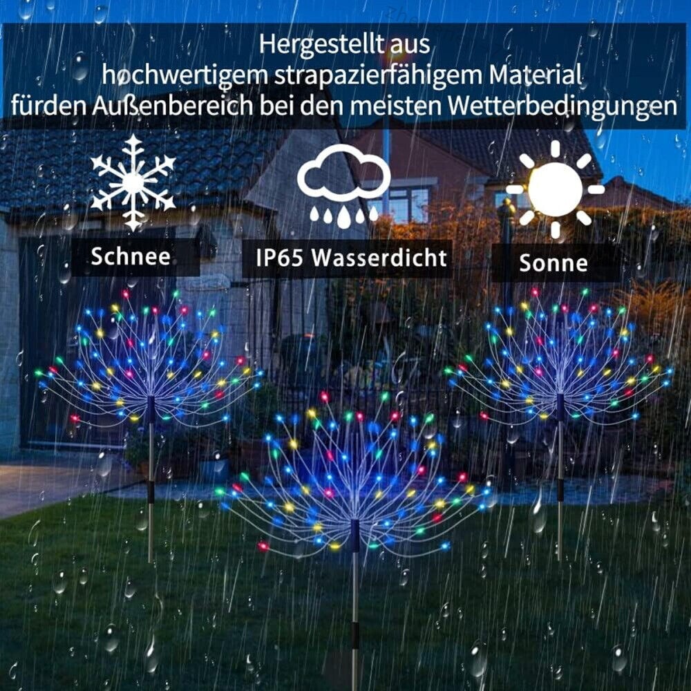 Bild 7 von 13