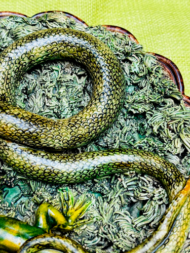 Antiguo plato de mayólica del siglo XIX Palissy Ware serpiente lagarto mariposa hierba - Imagen 6 de 13