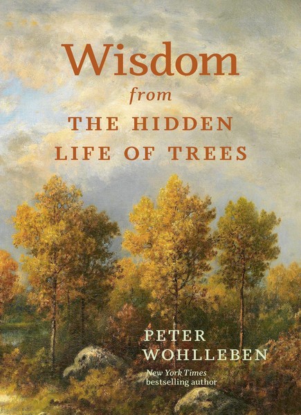 Wisdom From The Hidden Life Of Trees, Peter Wohlleben-image