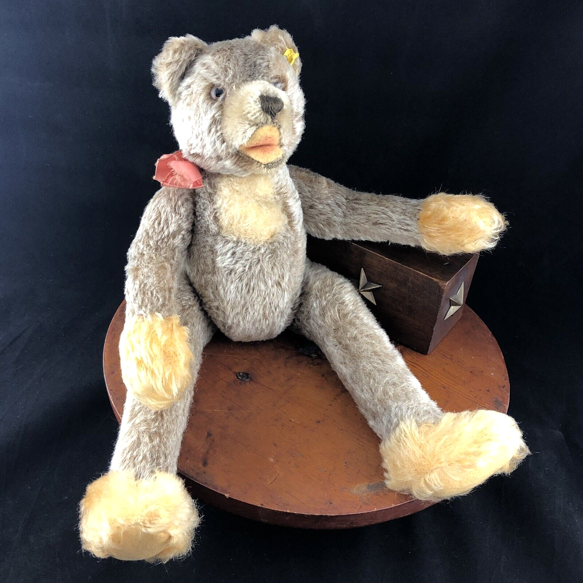 Steiffアンティークブルドッグ アンティーク シュタイフ ブルドッグ Steiff Bully 10cm