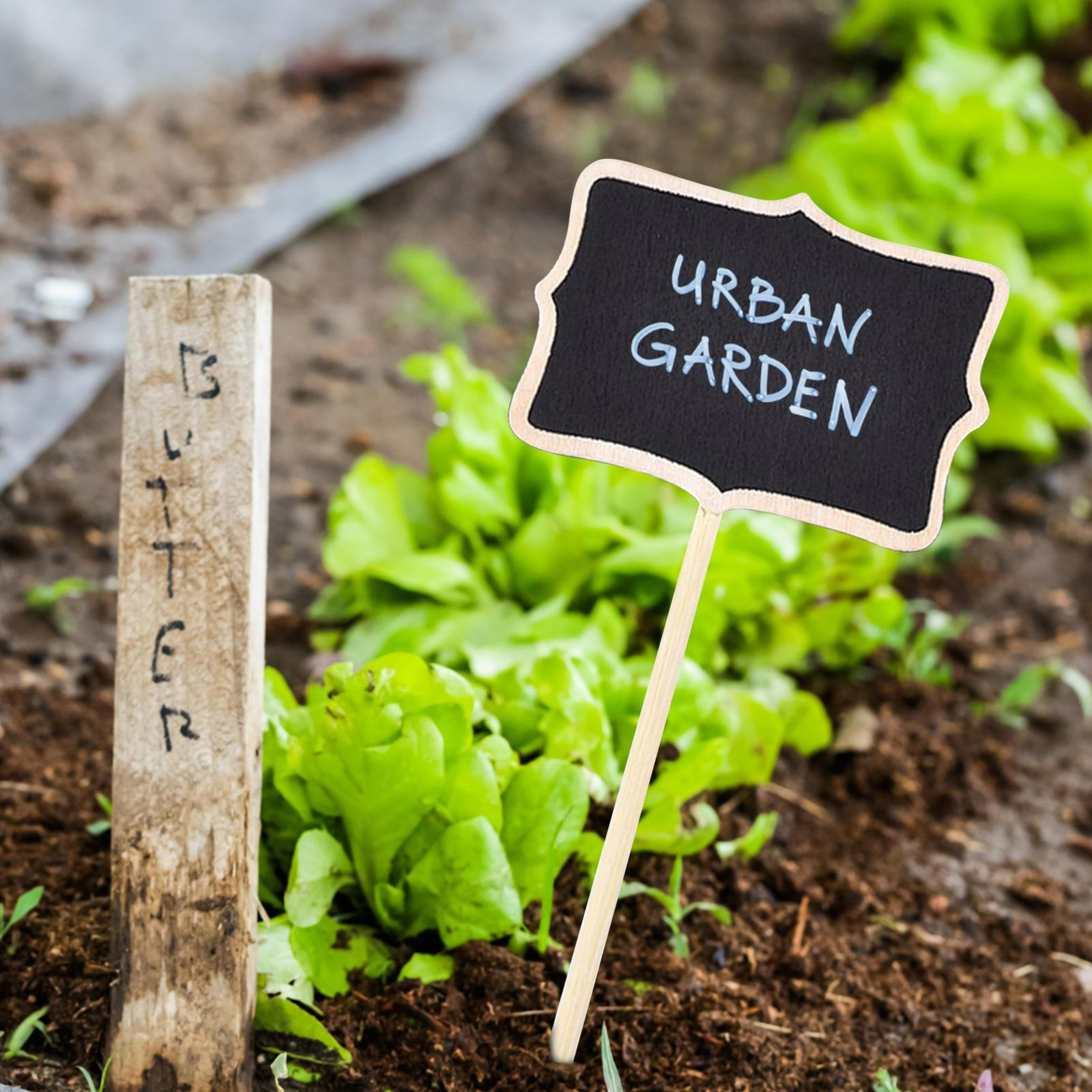 10PCS Wooden Plant Name Sign Labels Small Blackboard Garden Greenhous Decoration
