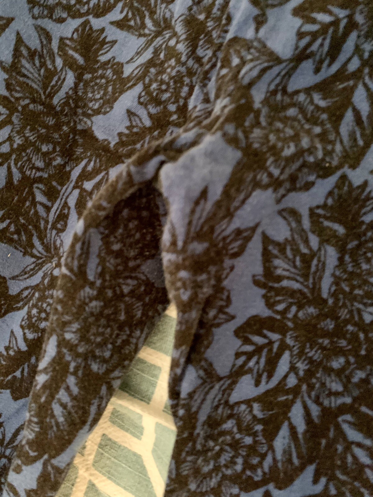 Picture 12 of 12