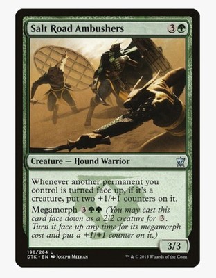 Salt Road Ambushers | Dragons of Tarkir DTK | MTG | EDH Morph | Uncommon | LP