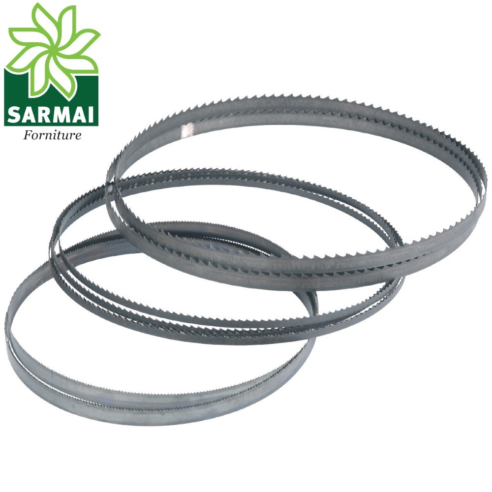 Lama Per Sega A Nastro Legno - 1400x6 Mm D6 Per Tagli Di Precisione - Foto 2