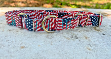 1 inch wide Adjustable Martingale Dog Collar Slip On American Flag Collar USA