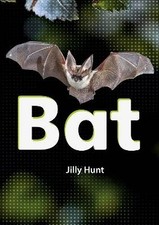 Bat (Set 02), Jilly Hunt,  Paperback