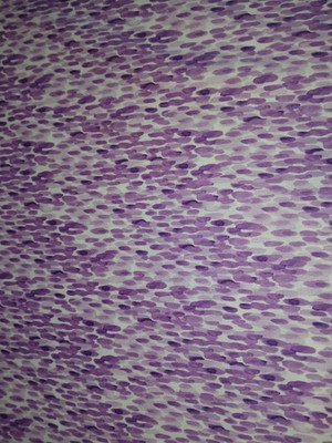 2 yard quilt shop quality name brand out of print hard to find soft feel