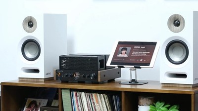 Nobsound HiFi Hybrid Tube Amplifier Bluetooth/U-disk/COAX/OPT