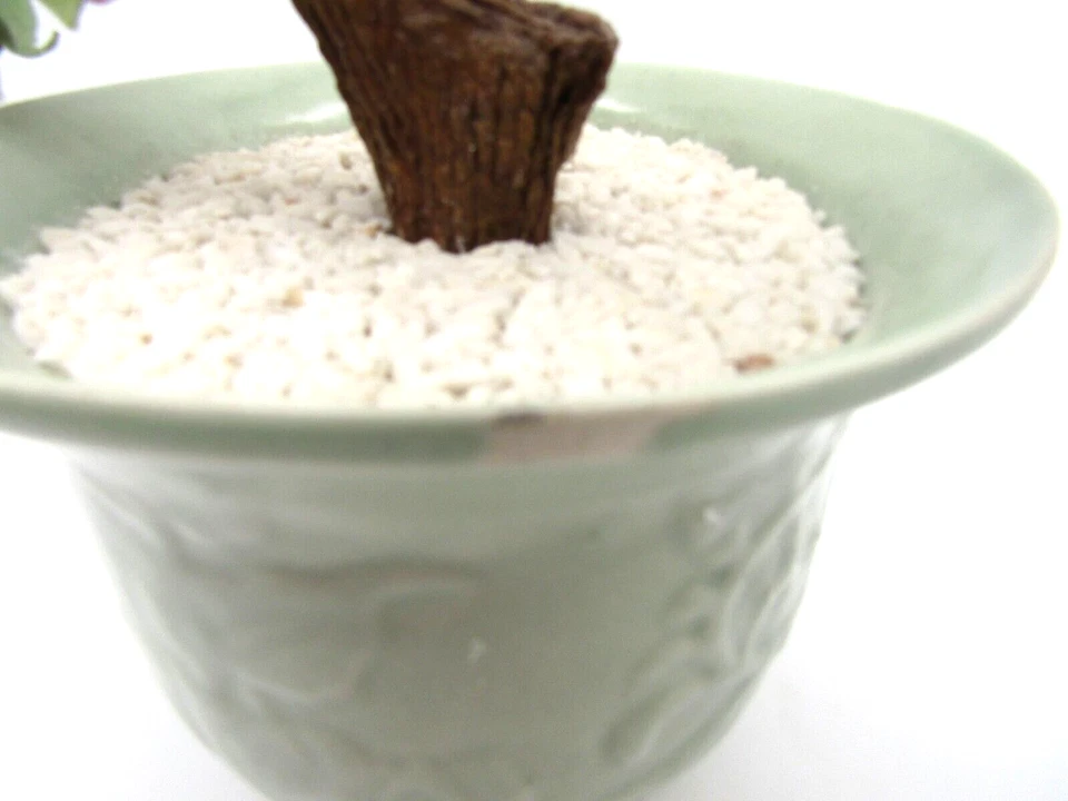 Bonsai Árbol de Jade Vidrio con Flores Rosadas en Maceta Celadon Hermosa Lg Cascada Foto 2 de 3