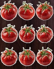 Juicy Tomato Die Cut Vinyl Stickers Set Scrapbooking Laptop Water Bottle