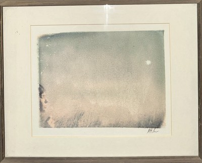 Matt Schwartz Hand Signed Polaroid Transfer Print Artwork Blowing Bubbles