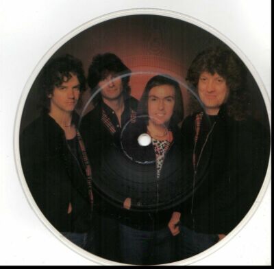 SLADE OKEY COKEY/GET DOWN AND GET WITH IT  Vinyl 7'' Record Picture Disc