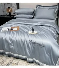 New Summer Wash Dream Silk Embroidery Tencel Ice Silk Summer Quilt Four Piece Se