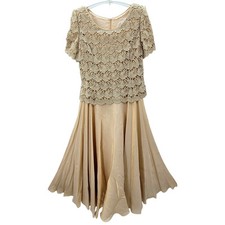 Michaelangelo Iridescent Chiffon Lace Formal Short Sleeve Fit n Flare Dress s14