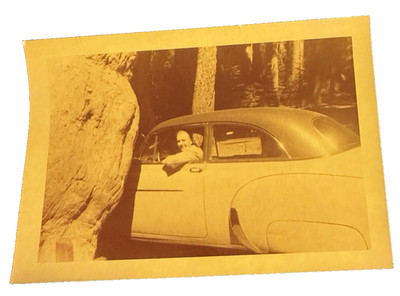 Vintage Sepia Photo 1952 Yosemite Sequoia Tunnel Old Car 5'' x 3 1/2''