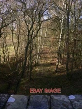 PHOTO  VIEW OF DISMANTLED RAILWAY LINE LOOKING WEST FROM INGRAM'S GREEN LANE THE