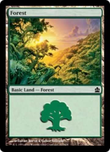 Forest (317) Light Play, English Commander