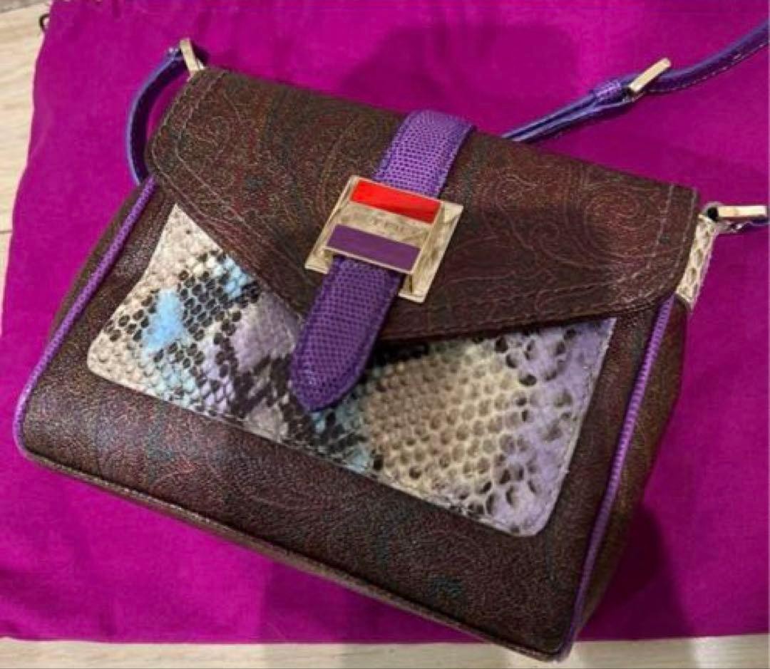 ETRO Python Snake Pattern Mini Shoulder Bag Brown… - image 11