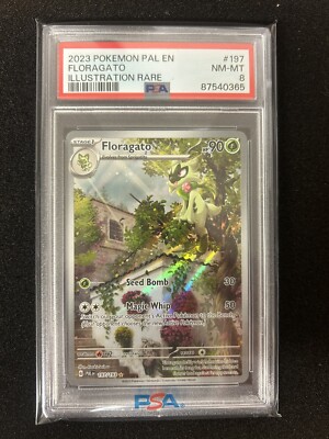 floragato pokemon card value Floragato - 017/159 - Journey Together