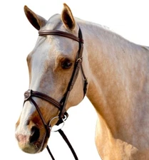 Halter Ego Halifax Hunter Bridle