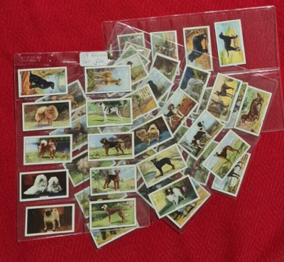 Hunde Serie 2: Gallaher - SET 48 in Hülsen