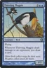 Thieving Magpie - Duels of the Planeswalkers #016/113 MTG Magic The Gathering