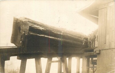1909 Aberdeen Washington Lumber Sawmill Big Log Postcard RPPC 24-10762