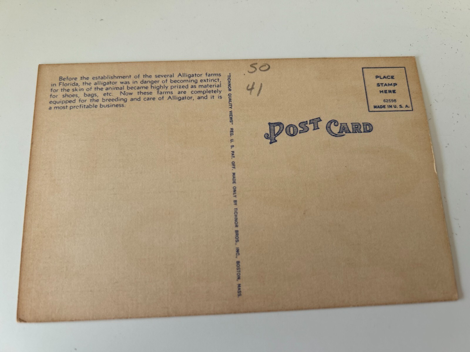 An Alligator Farm in Sunny Florida Postcard