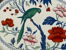 Antique Rare Ceramic Booths Silicon England Parrot Platter 7897 Bird