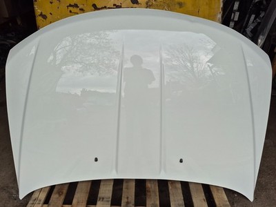 2017 Dodge Journey Hood Bonnet OEM