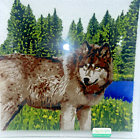 Picture 2 of 6