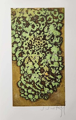 J.J.J. Rigal, Les Lichens from the Herbier Portfolio Etching signed 1967