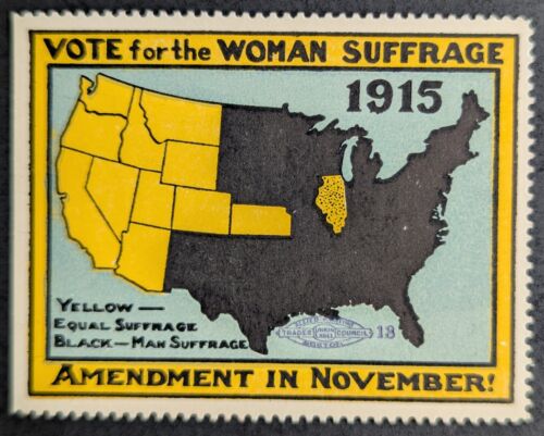 Vintage 1915 Vote Women Suffrage Amendment Map US Poster Stamp