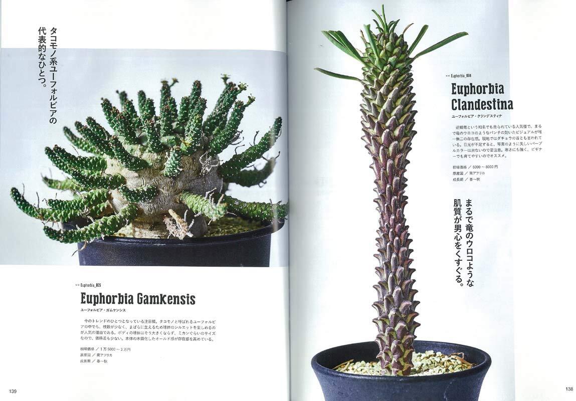 Lightning Green Life vol 207 June 2019 magazine Japan | eBay