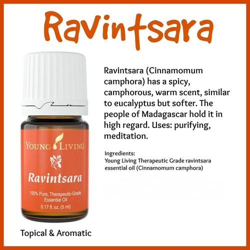Oli Essenziali YOUNG LIVING - Albero di canfora (Ravintsara) - 5ml - 33331 - Imagen 2 de 2