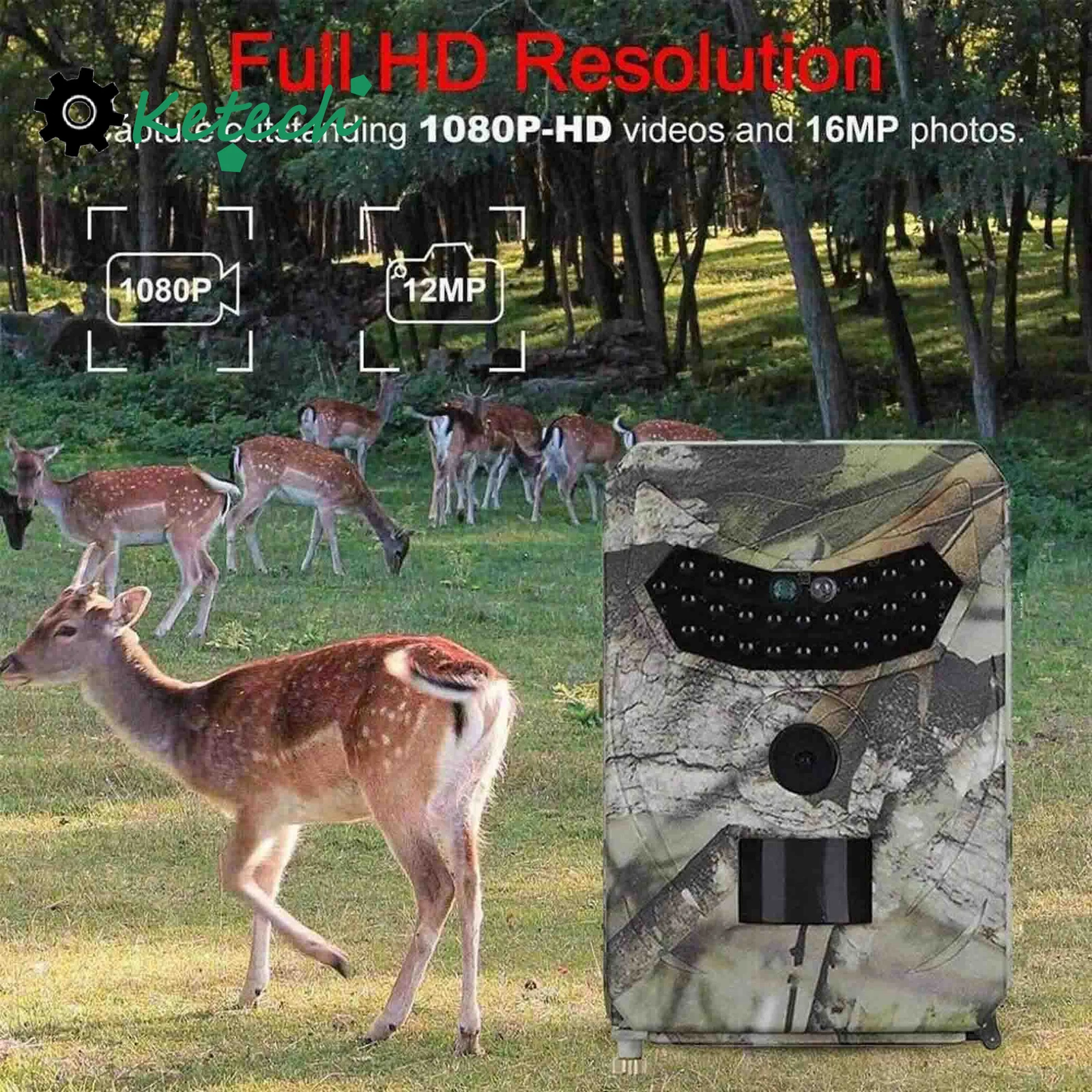 Picture 1 of 13