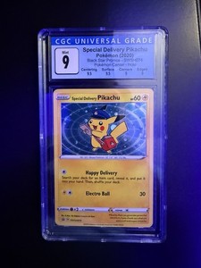 Pikachu Special Delivery | eBay