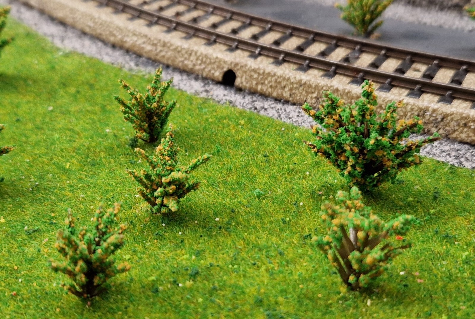 20 Yellow Blooming Bushes, Shrubs, 28 and 40 mm High, for Landscape Construction