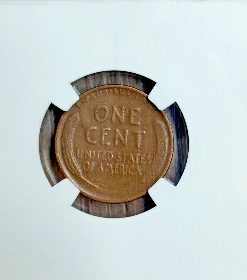 1931 S Lincoln Wheat Cent NGC VF 20 Brown, Semi-Key Date Penny - Image 4 of 4
