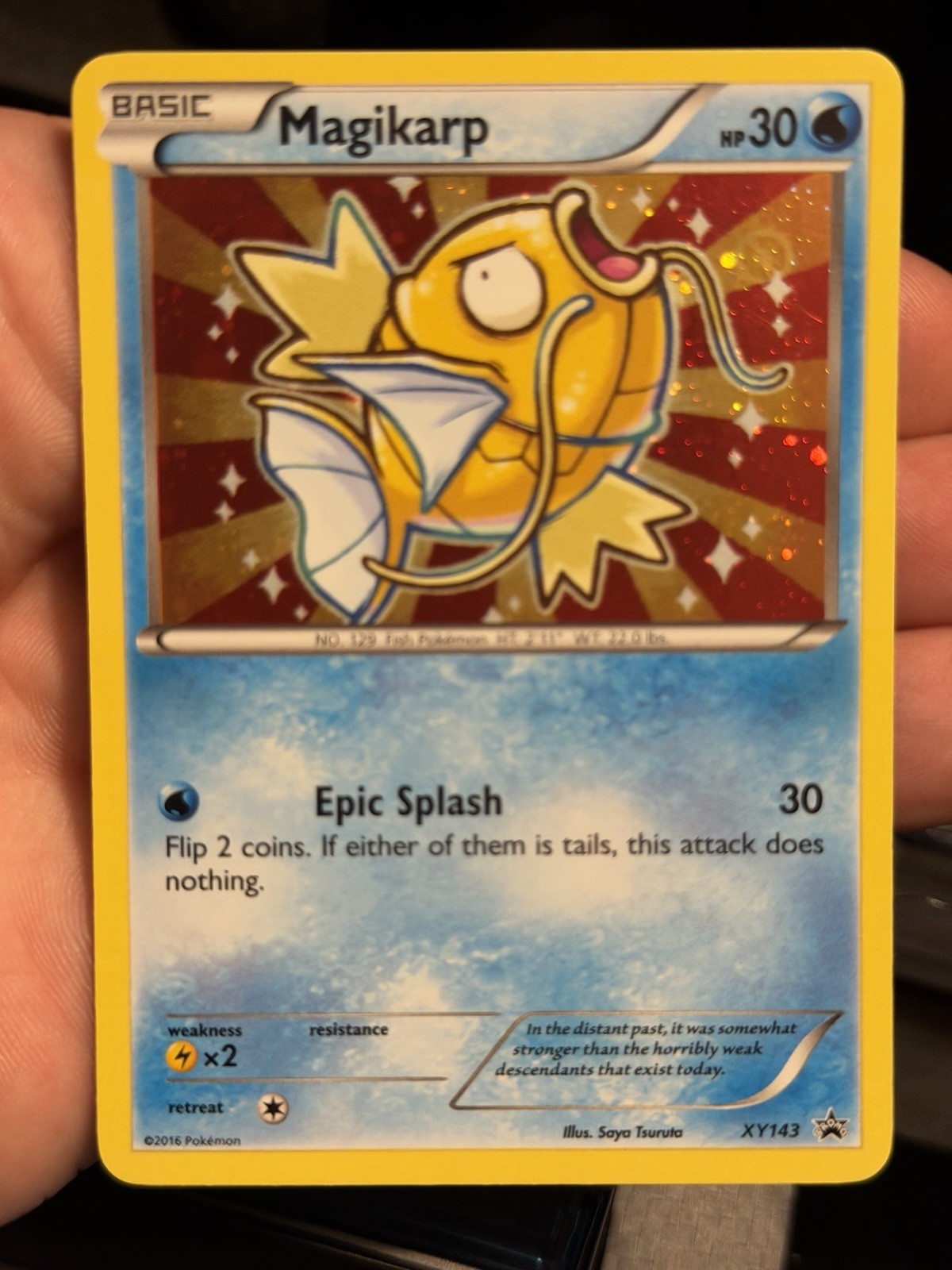 Magikarp Promo 2016 XY143 Pokemon Card