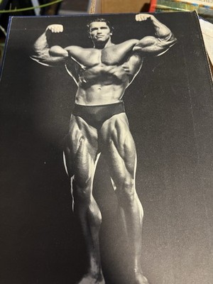 Das grosse Bodybuilding Buch / Arnold Schwarzenegger / Bill Dobbins