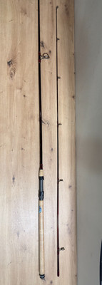 Balzer Magna S Pro Spin 10 Rute 300cm 30-60g