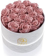 Gifts for Women Preserved Roses Flower Box, Luxury Velvet Box with 20 Roses, Pre
