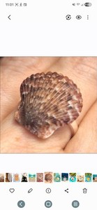 .925 Sterling Silver Mexican Seashell Ring Adjustable Handmade 3 Grams Seaglass