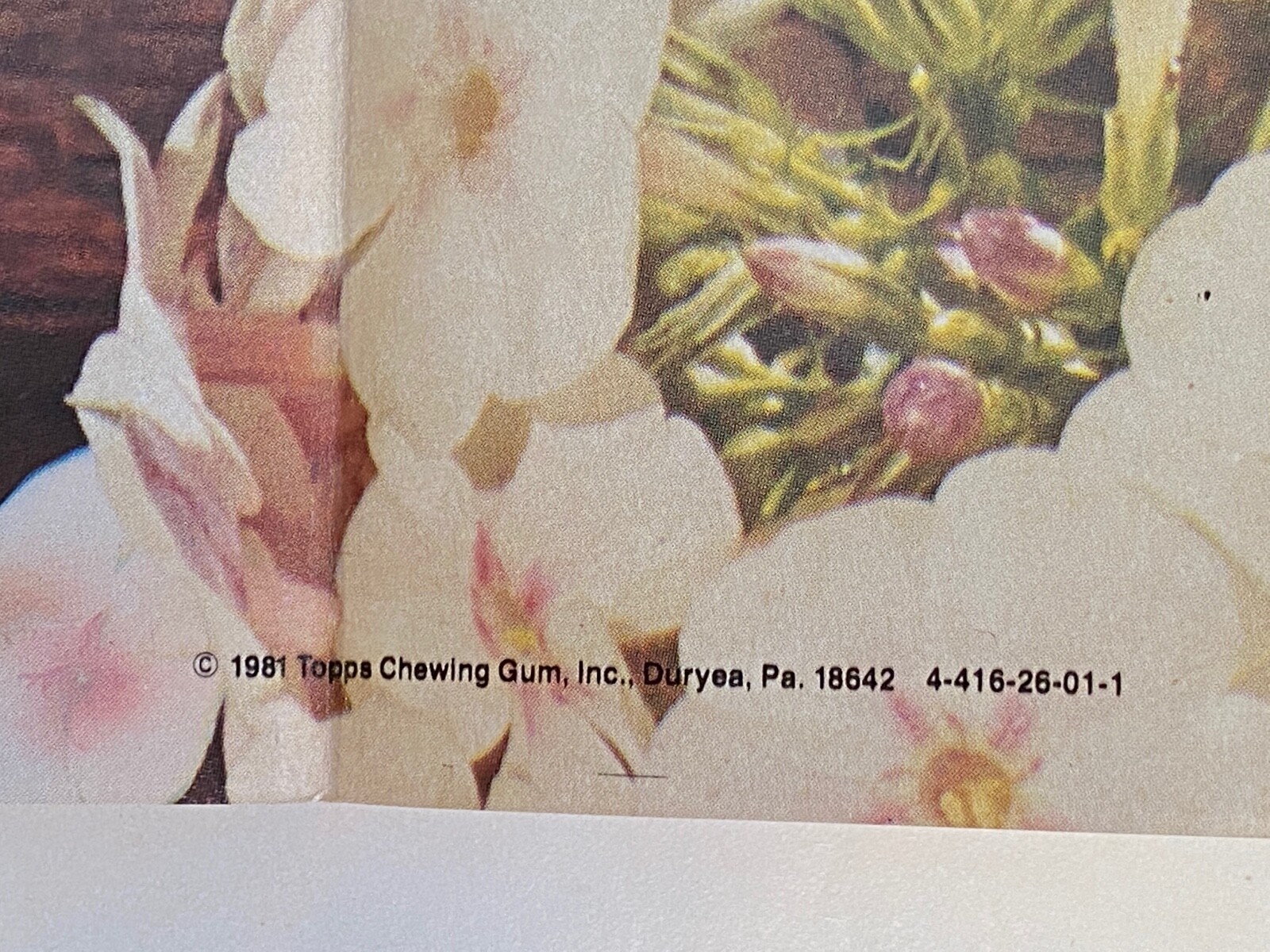 Picture 9 of 9