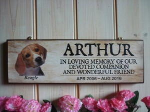 beagle memorial